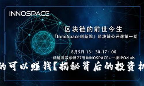 TP钱包真的可以赚钱？揭秘背后的投资机会与风险