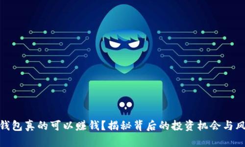TP钱包真的可以赚钱？揭秘背后的投资机会与风险