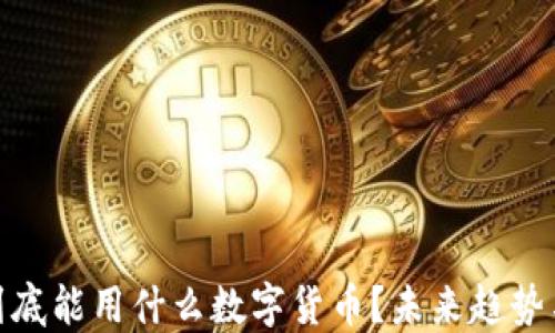 
2023年：到底能用什么数字货币？未来趋势与实用指南