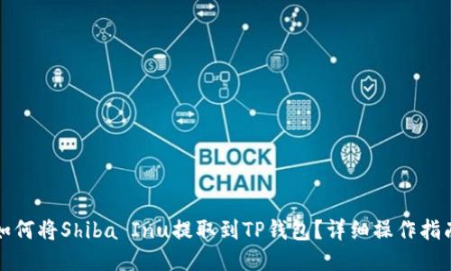 如何将Shiba Inu提取到TP钱包？详细操作指南